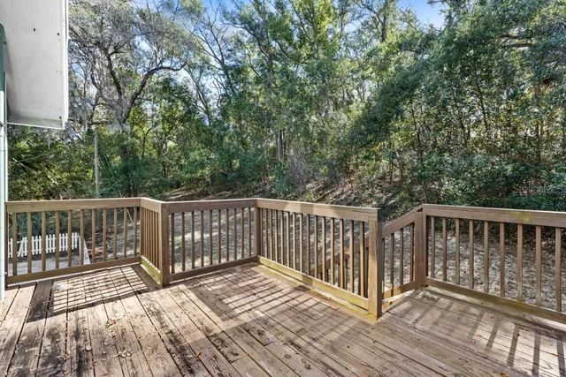 a view of a yard with plants and large trees