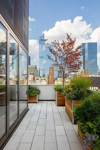 a view of a patio with couches and potted plants