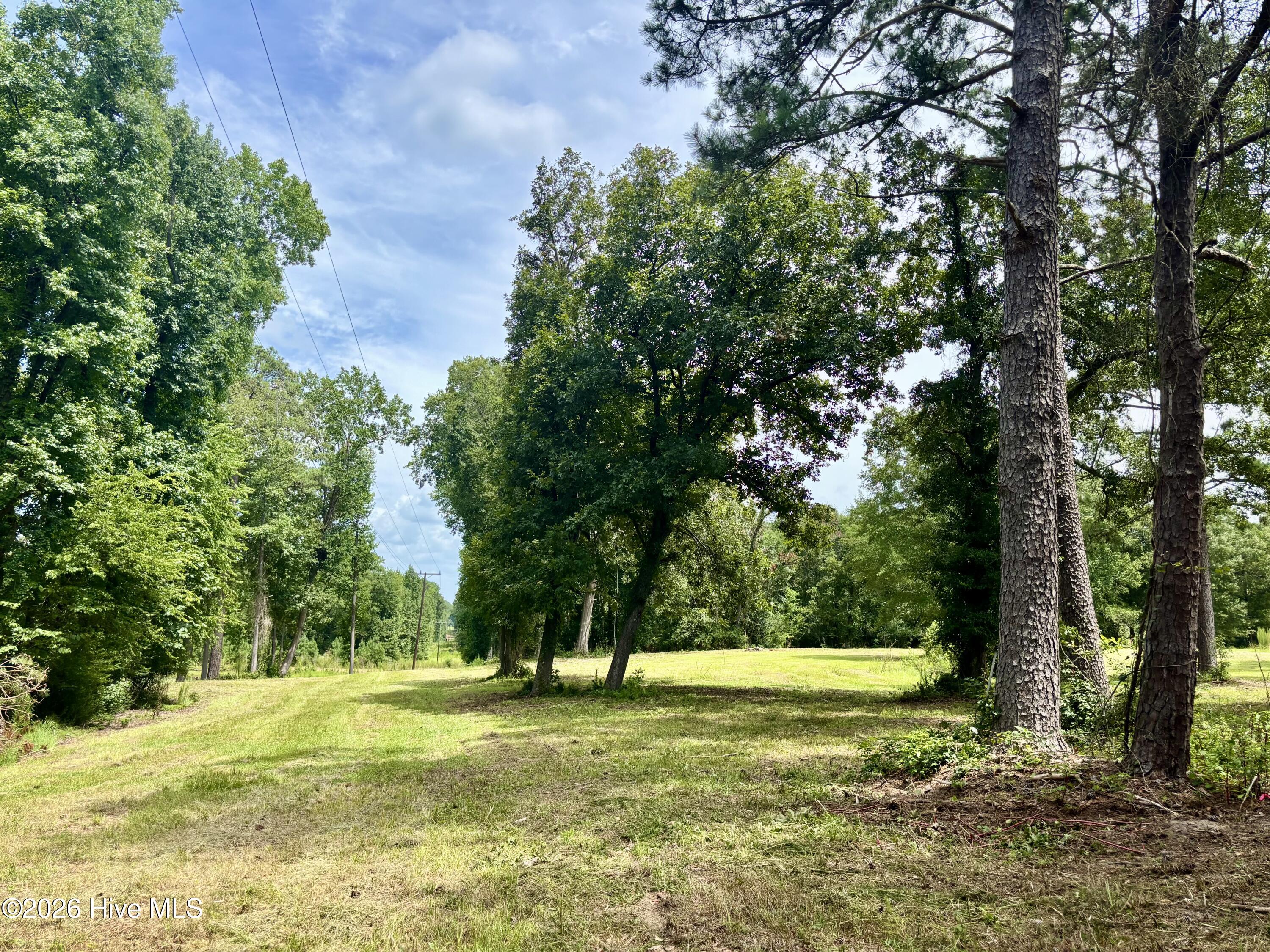 Tbd Tbd Roberdel School Road Rockingham, NC 28379 - Photo 11 of 20 Gallery Image 11