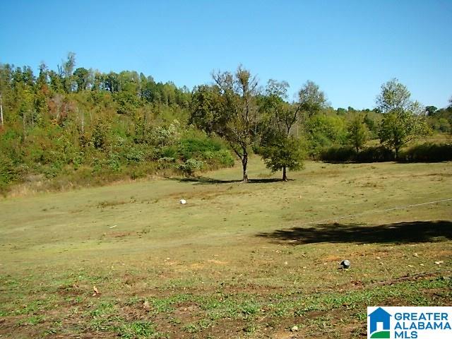 889 Hunter Road Ohatchee, AL 36271 - Photo 36 of 44