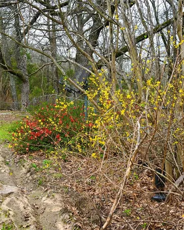 $599,000 | 2211 Farm To Market Road 2029, Telephone, TX 75488