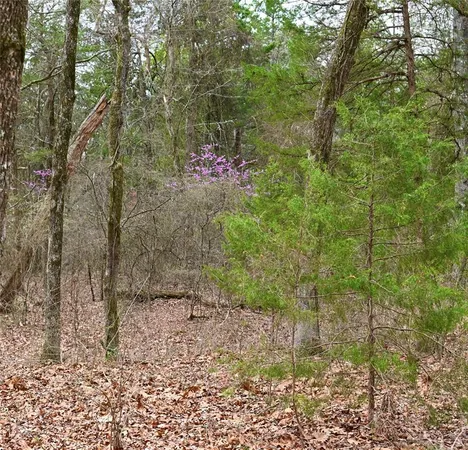 $599,000 | 2211 Farm To Market Road 2029, Telephone, TX 75488