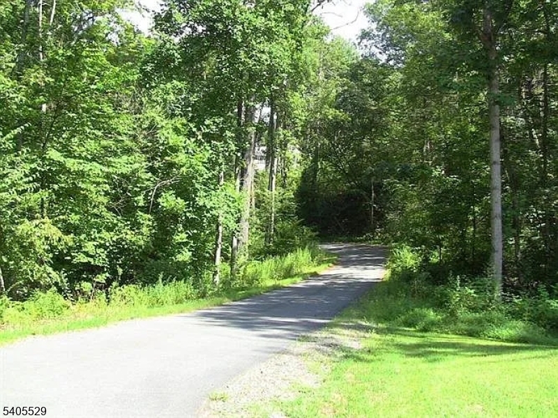 8 Cub Lake Road Andover, NJ 07821 - Photo 2 of 14 a view of green field with trees in the background