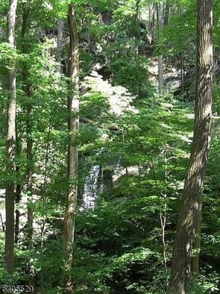 8 Cub Lake Road Andover, NJ 07821 - Photo 3 of 14 a view of a tree in a garden