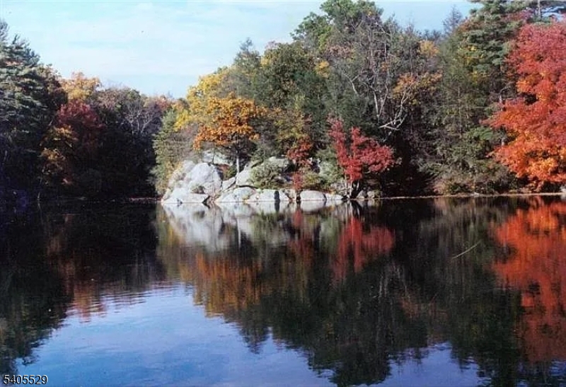 8 Cub Lake Road Andover, NJ 07821 - Photo 6 of 14 a view of river covered with trees