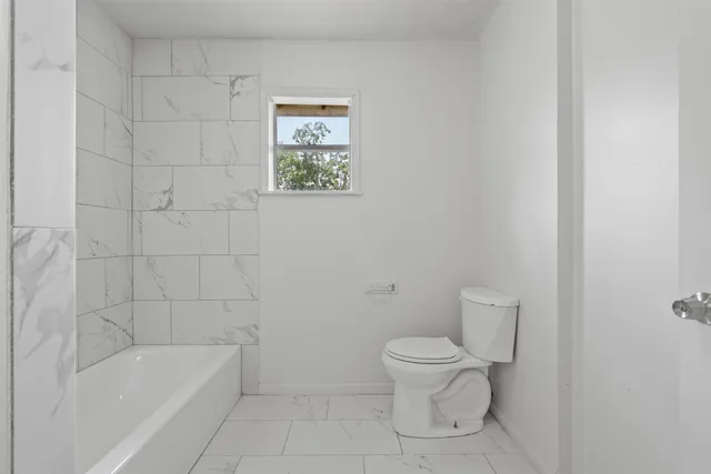 a bathroom with a toilet and a bathtub