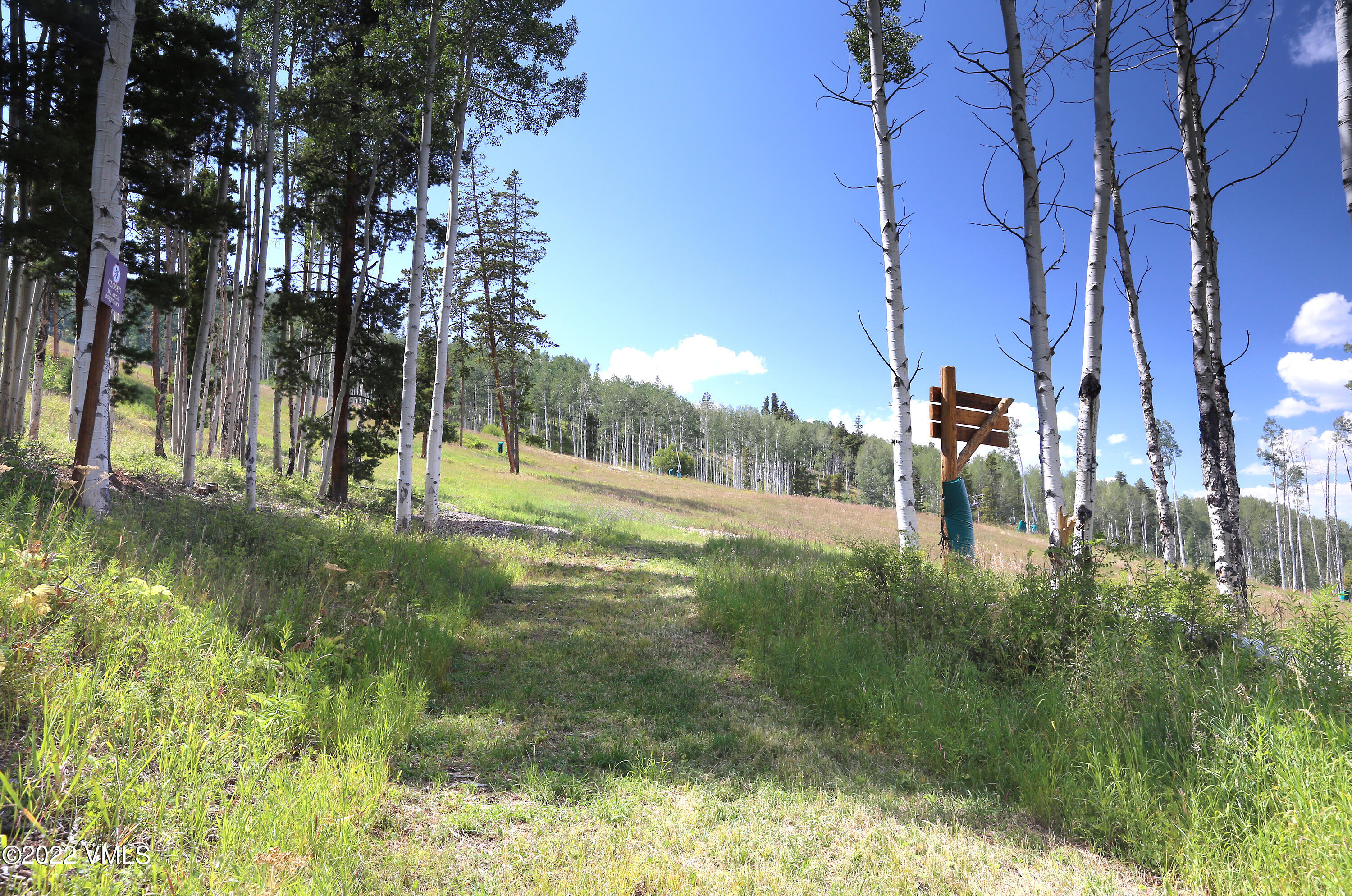 2704 Daybreak Ridge Road Avon, CO 81620 - Photo 12 of 24 a view of a park with large trees