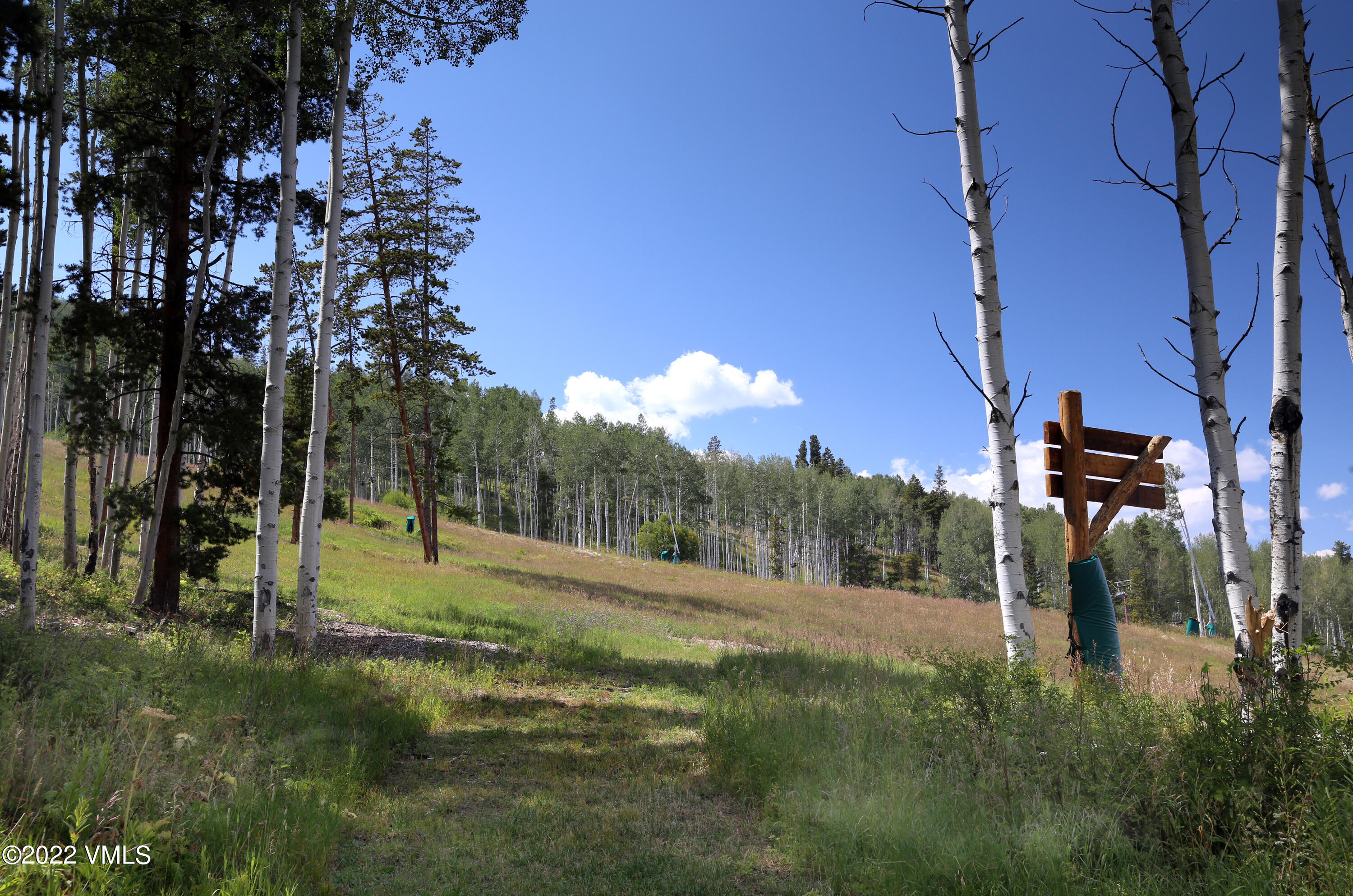 2704 Daybreak Ridge Road Avon, CO 81620 - Photo 13 of 24 a view of outdoor space with green field