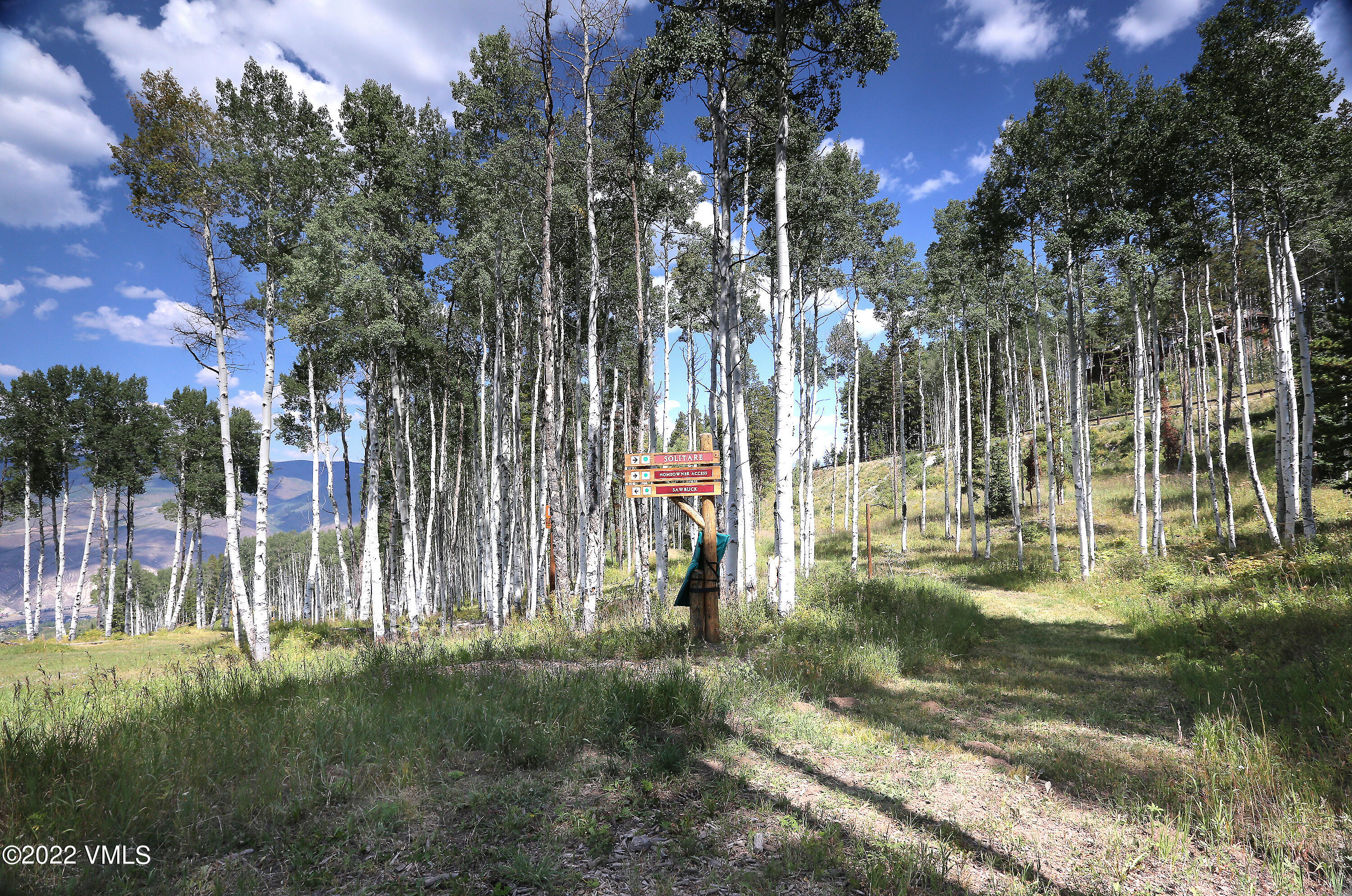 2704 Daybreak Ridge Road Avon, CO 81620 - Photo 14 of 24 a view of swimming pool with a yard and large trees
