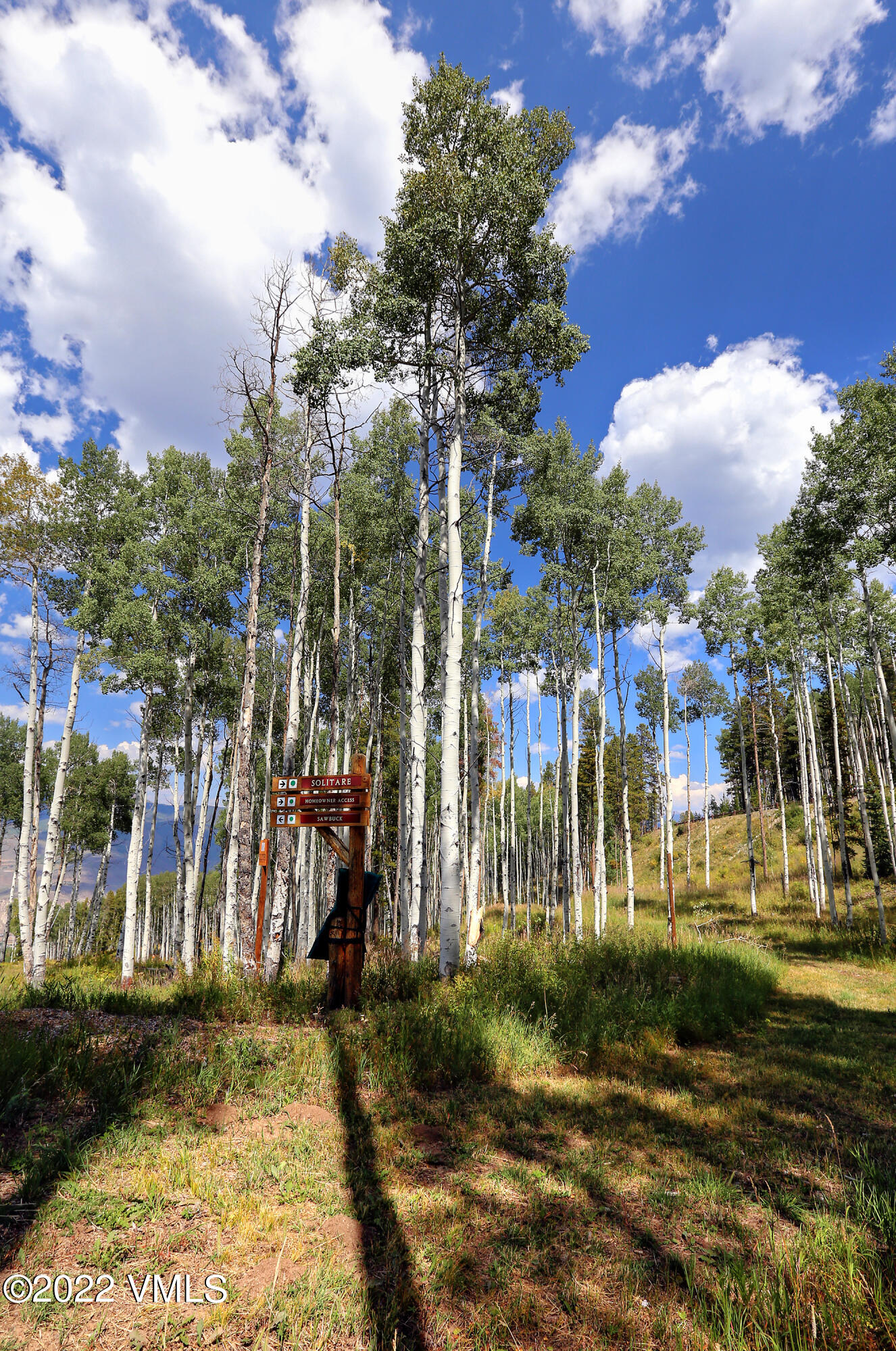 2704 Daybreak Ridge Road Avon, CO 81620 - Photo 16 of 24 a view of a park with large trees