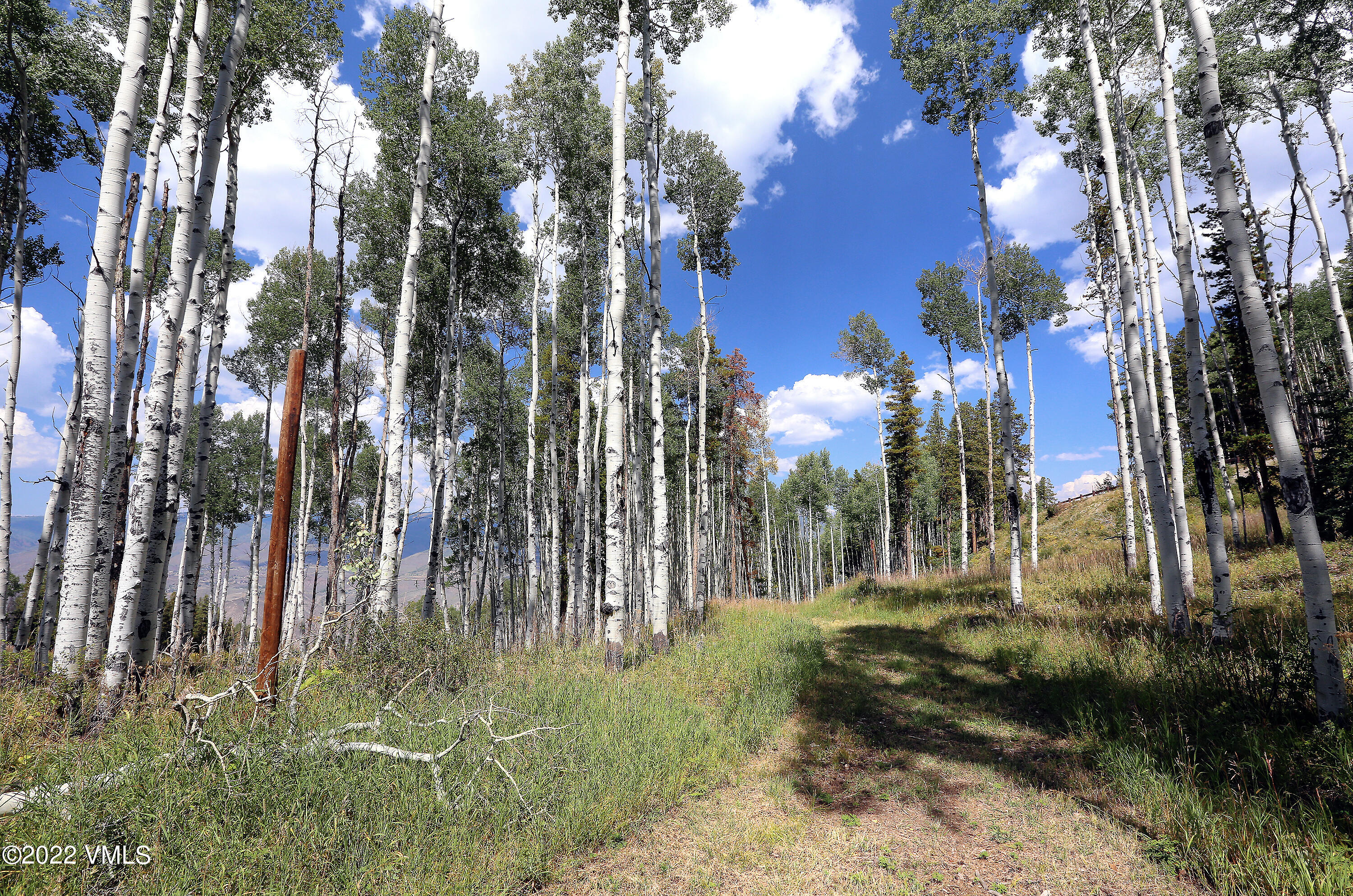 2704 Daybreak Ridge Road Avon, CO 81620 - Photo 19 of 24 a view of a park with large trees