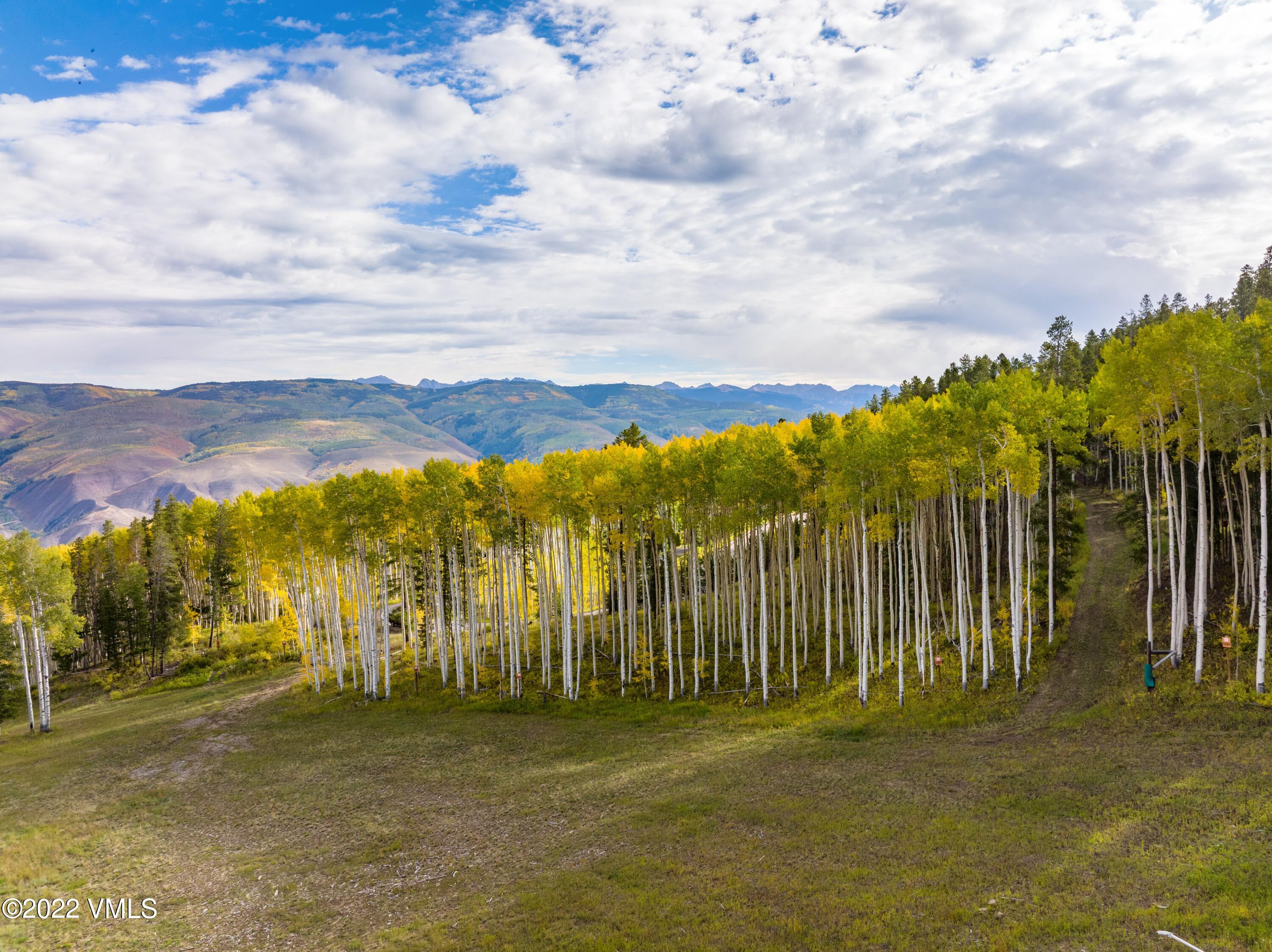 2704 Daybreak Ridge Road Avon, CO 81620 - Photo 6 of 24 a view of a city