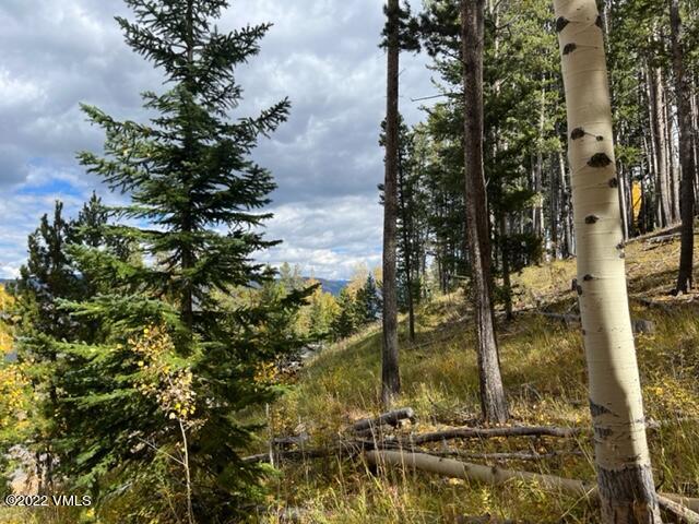 2704 Daybreak Ridge Road Avon, CO 81620 - Photo 9 of 24 a view of a house with a tree