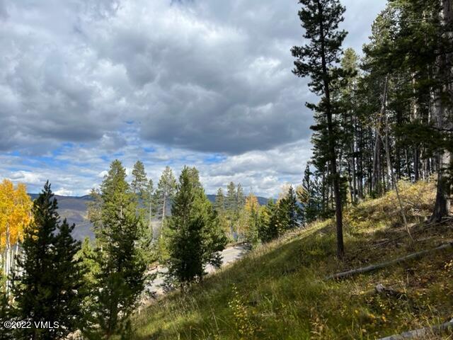 2704 Daybreak Ridge Road Avon, CO 81620 - Photo 10 of 24 a view of a yard with lots of trees