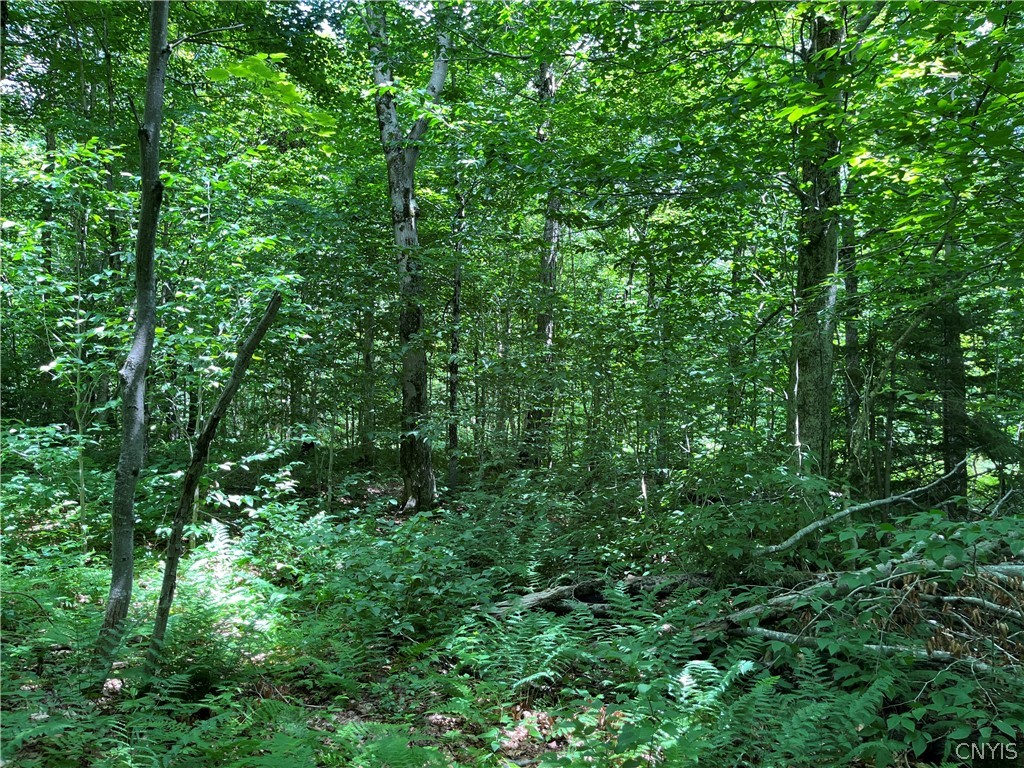 East Town Line Road Lorraine, NY 13659 - Photo 20 of 34 Gallery Image 20