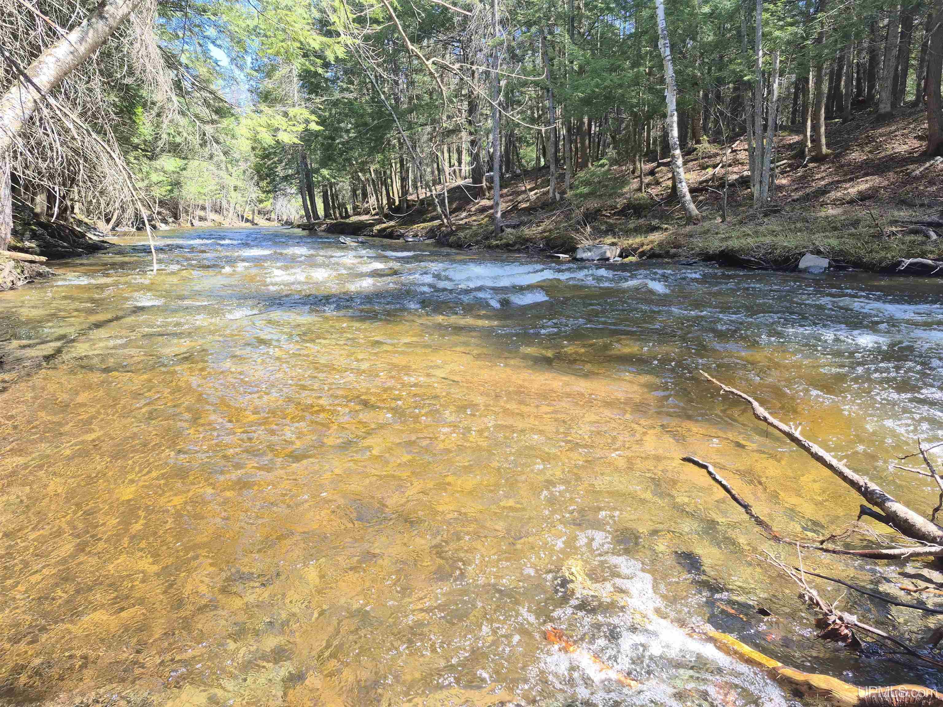 12-acres Salmon Road L'Anse, MI 49946 - Photo 11 of 39