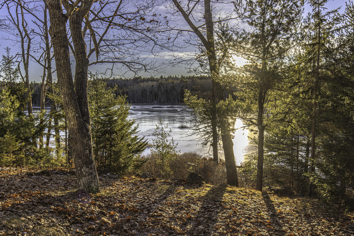 48 Douglas Loop Blue Hill, ME 04614 - Photo 4 of 31 001c