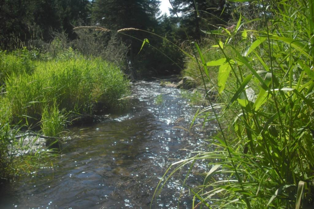 599 North Perley Brook Road Fort Kent, ME 04743 - Photo 6 of 9 Photo