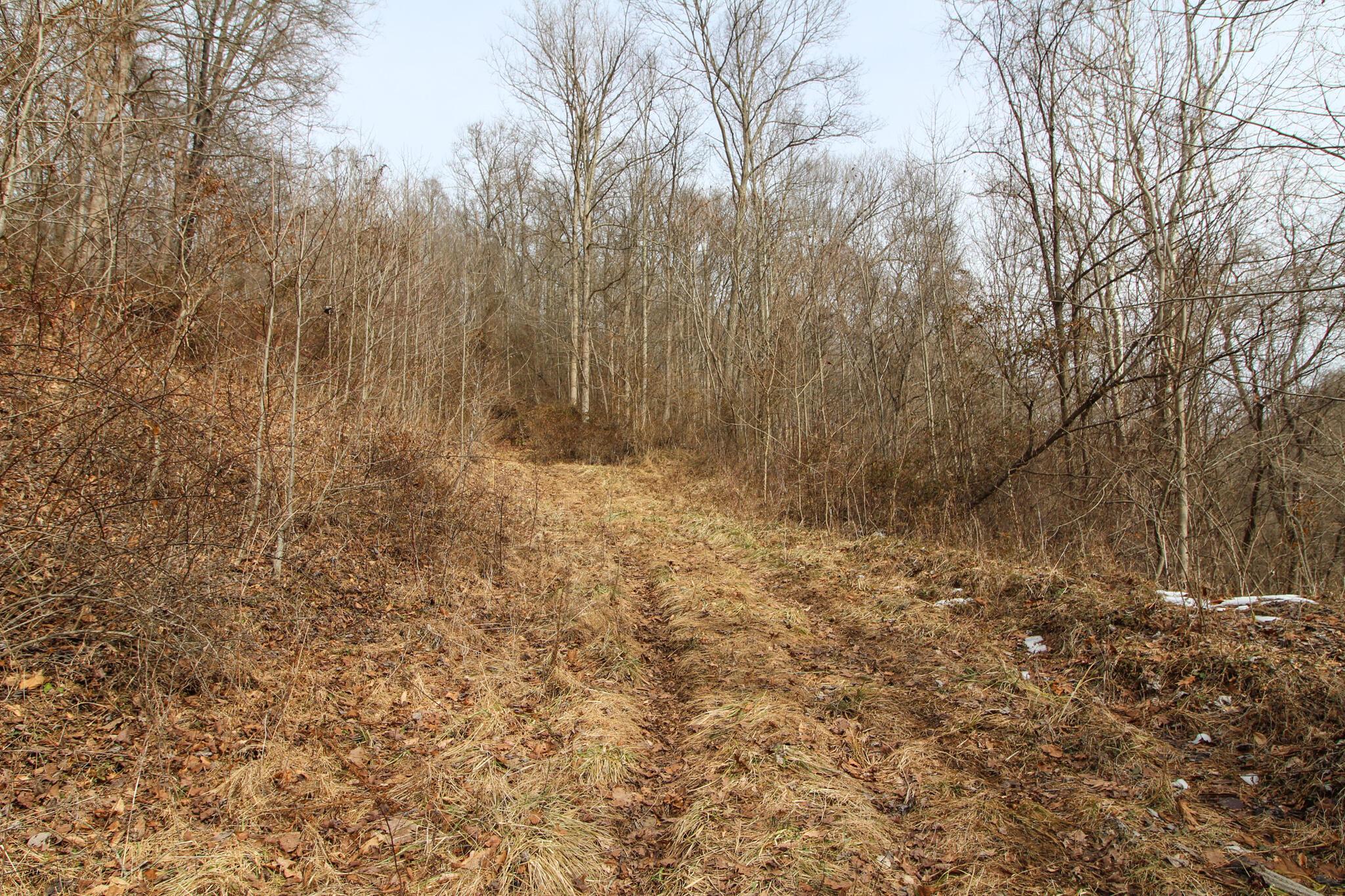 0 Kerr Run Road Newport, OH 45768 - Photo 24 of 26 IMG_3821