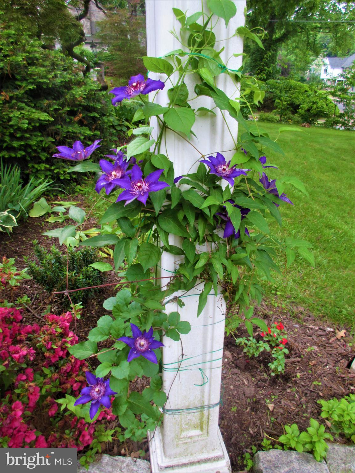 1701 Alsace Road Reading, PA 19604 - Photo 32 of 40 Gallery Image 32