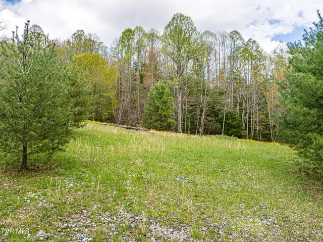 $274,000 | 513 Beadwood Lane, Damascus, VA 24236