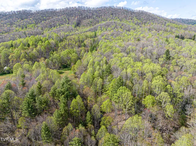 $274,000 | 513 Beadwood Lane, Damascus, VA 24236