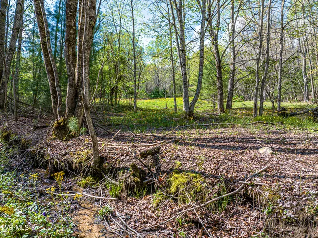 $274,000 | 513 Beadwood Lane, Damascus, VA 24236