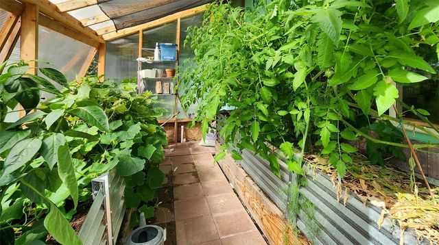 a view of a garden with pathway