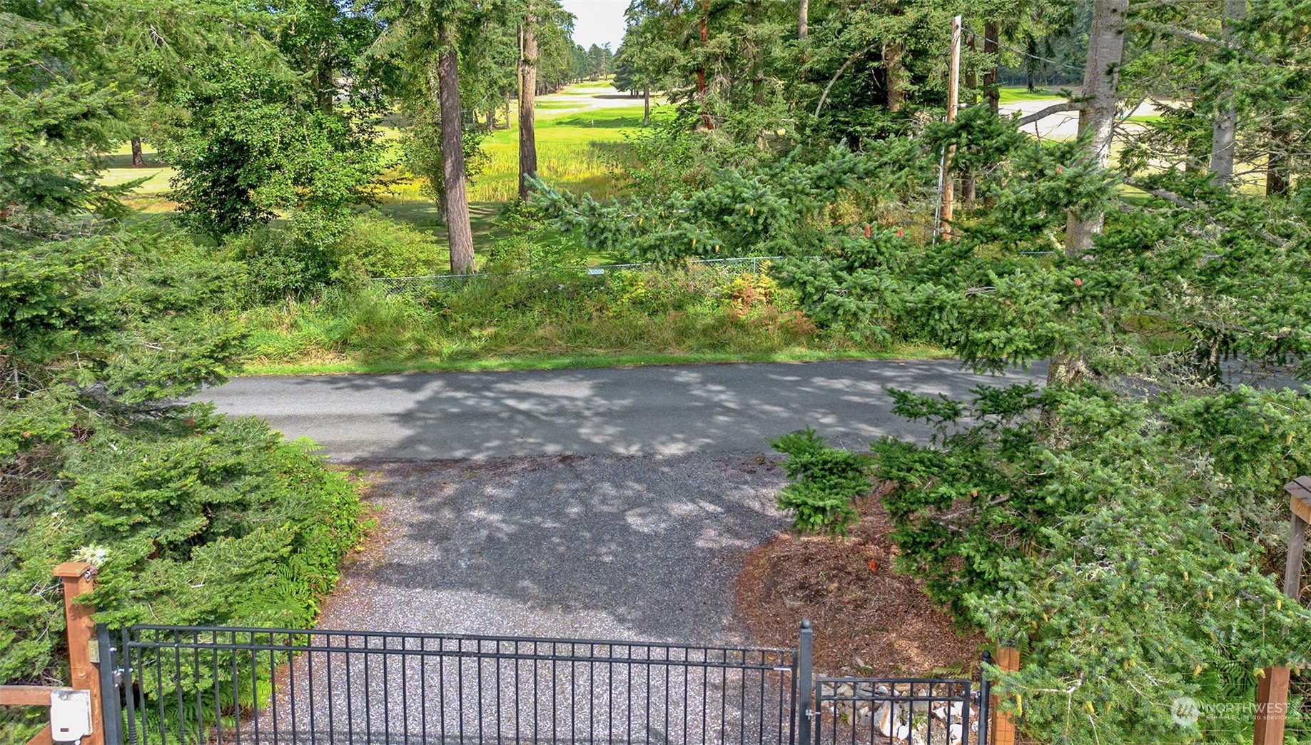 653 Shark Reef Road Lopez Island, WA 98261 - Photo 3 of 33 a view of a pathway both side of yard