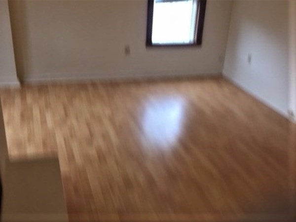 16 Reed Avenue Everett, MA 02149 - Photo 23 of 30 Gallery Image 23