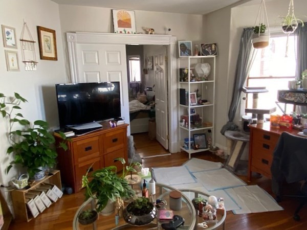 16 Reed Avenue Everett, MA 02149 - Photo 10 of 30 Gallery Image 10