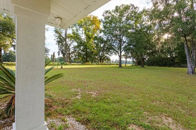 a view of a yard with an outdoor space