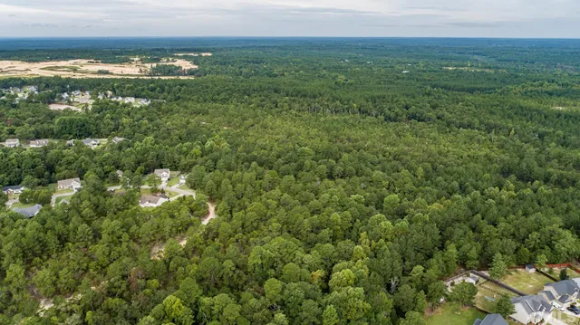 a view of a forest with a street