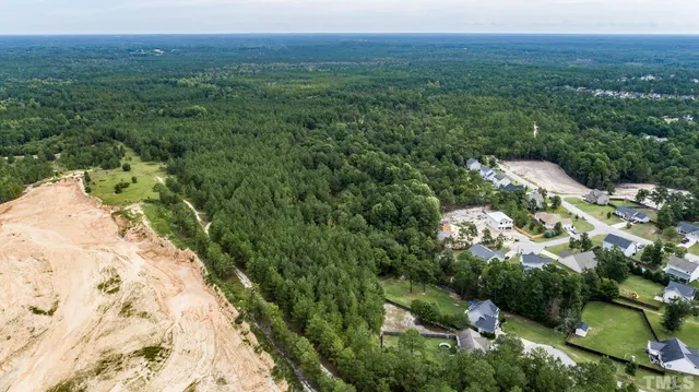 a view of a lush green forest with lush green forest
