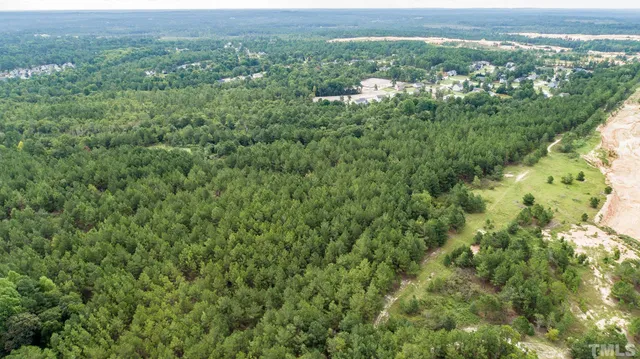 a view of a city with lush green forest