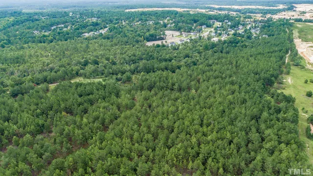 a view of a lush green forest