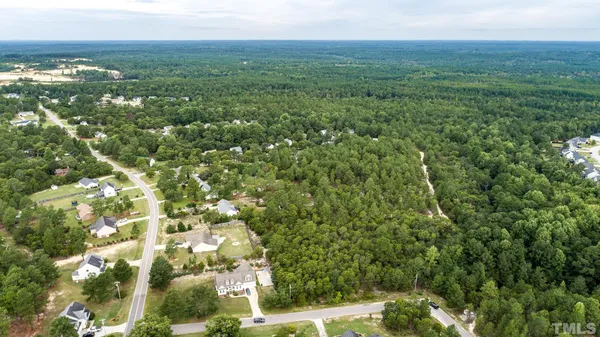 a view of a big yard with plants and large trees