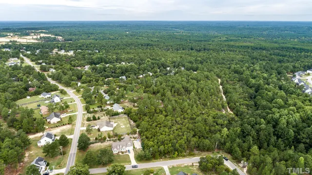 a view of a big yard with plants and large trees