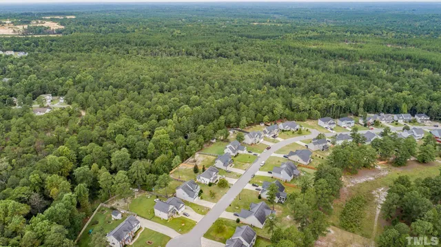 a view of a big yard with lots of bushes