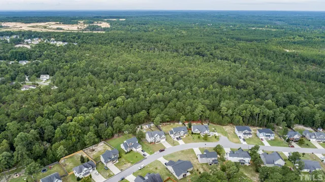 view of a city with lush green forest