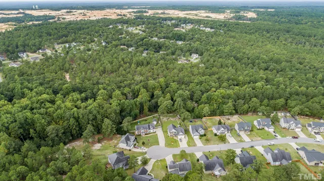 a view of a city with lush green forest