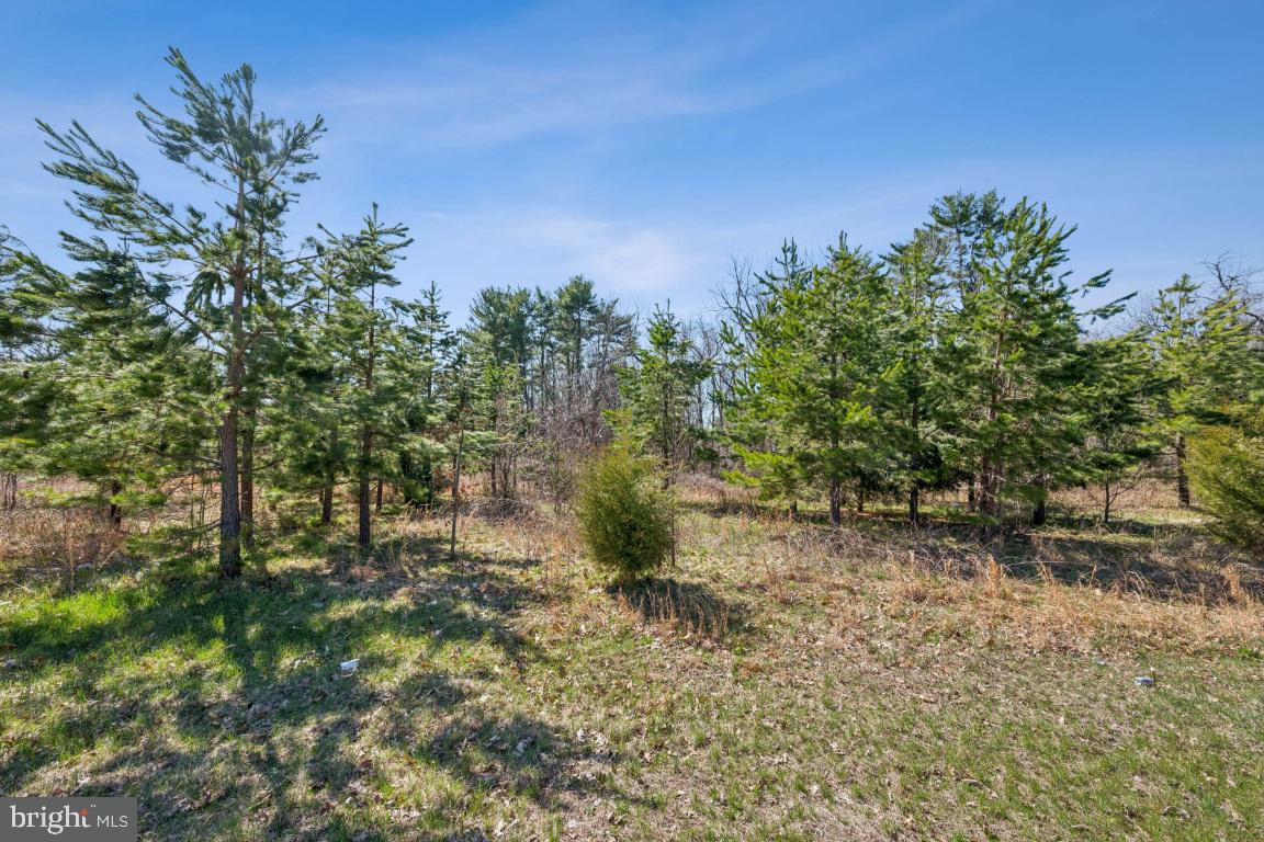 1751 Glassboro Road Sewell, NJ 08080 - Photo 2 of 3
