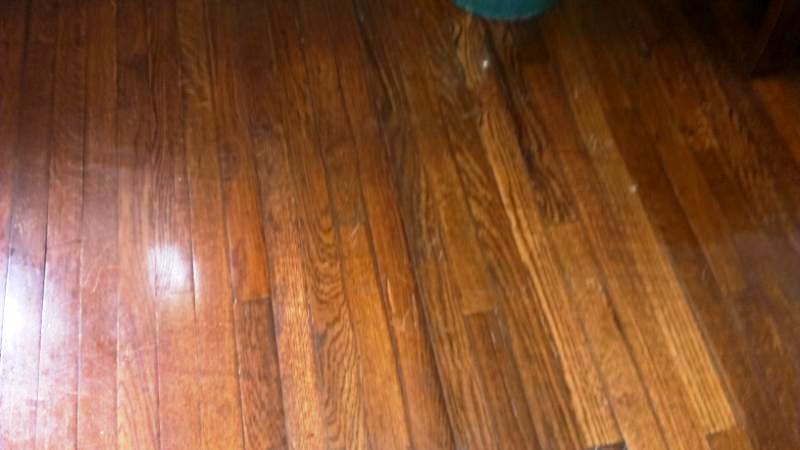 103 Kenwyn Road Oak Ridge, TN 37830 - Photo 14 of 21 beautiful hardwood floors!.jpg