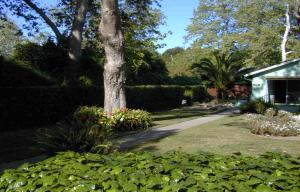 47 Humphrey Road Santa Barbara, CA 93108 - Photo 1 of 3 Listing Photo