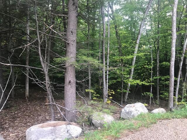 31 Romans Road New Gloucester, ME 04260 - Photo 2 of 8 Road frontage