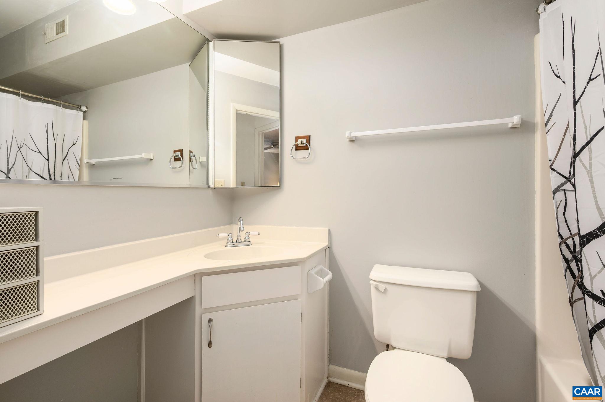 115 Turtle Creek Road, Unit 2 Charlottesville, VA 22901 - Photo 11 of 26 Gallery Image 11