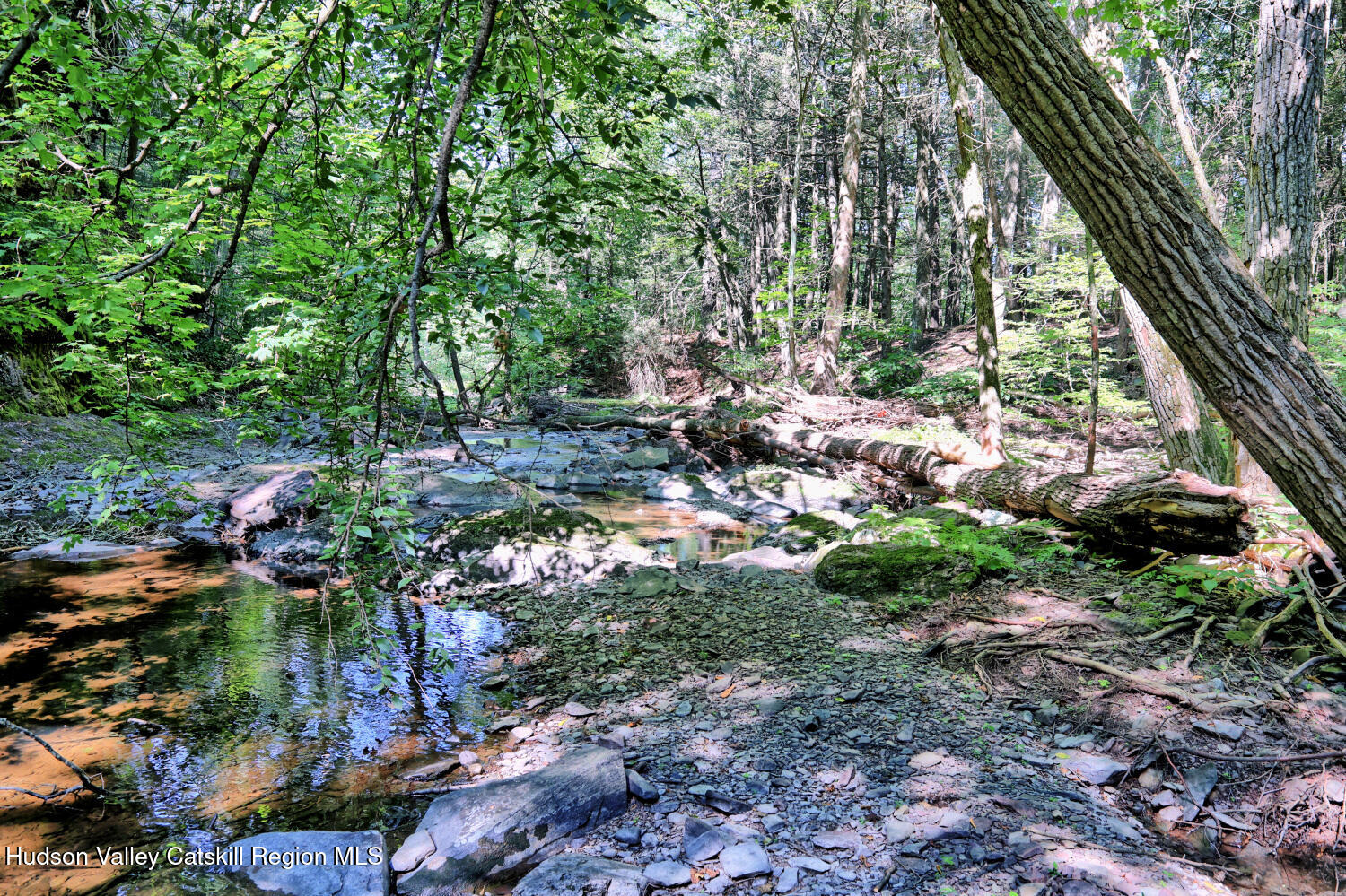 128 West Moorehouse Road Cairo, NY 12413 - Photo 65 of 132 9zs