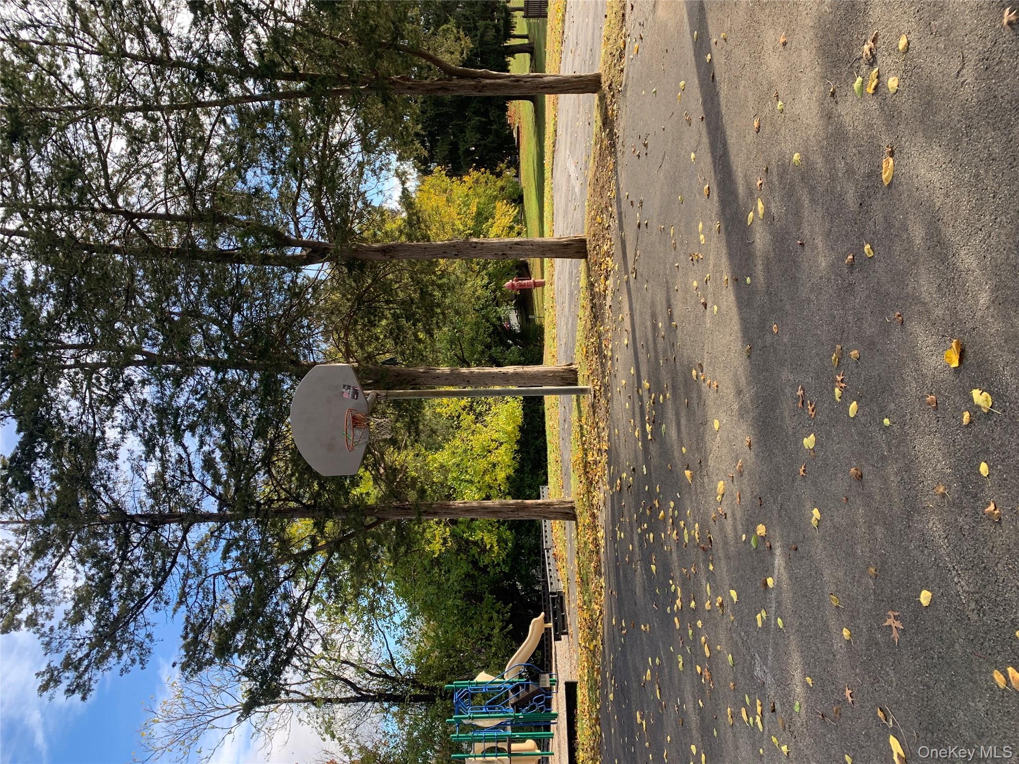 1 South Cambridge Court Fishkill, NY 12524 - Photo 44 of 49 a view of road with trees