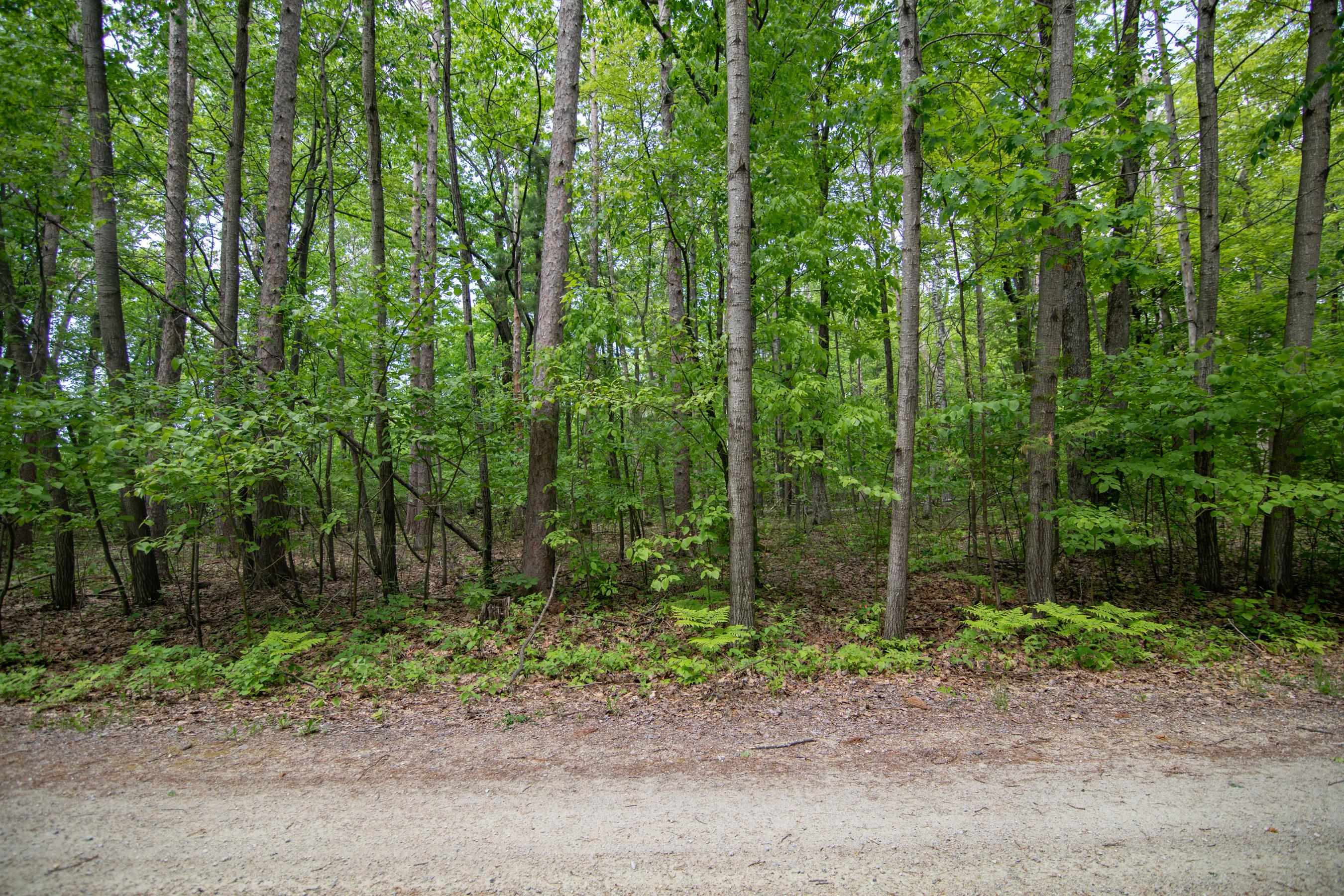 Pine Tree Road Sturgeon Bay, WI 54235 - Photo 7 of 8