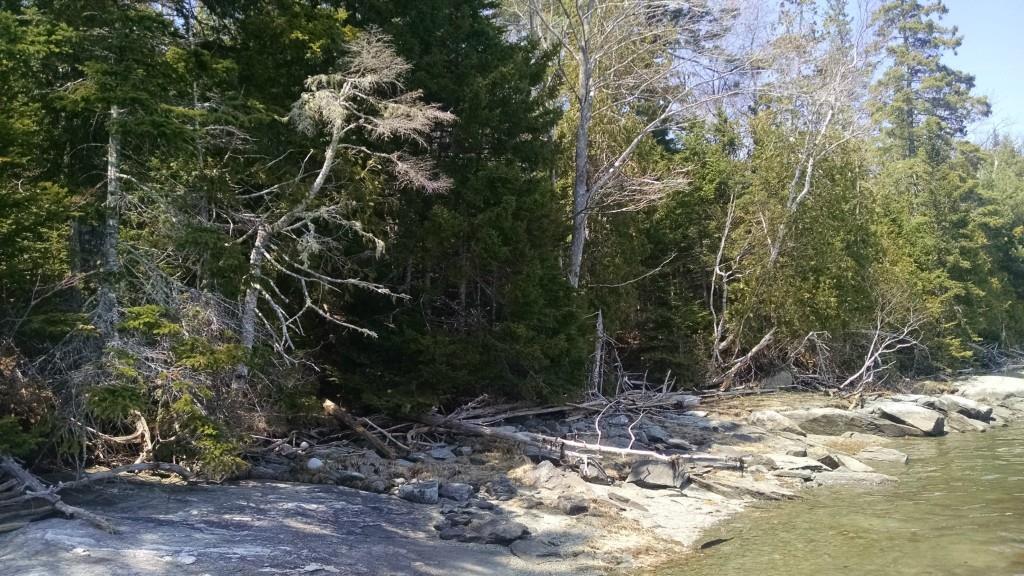 Lot 074 Landing Road North Hancock, ME 04640 - Photo 6 of 7 Photo